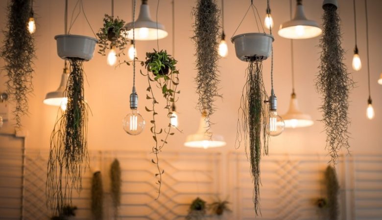 Types of Lighting and Décor