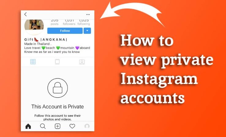 How to see someone’s private Instagram
