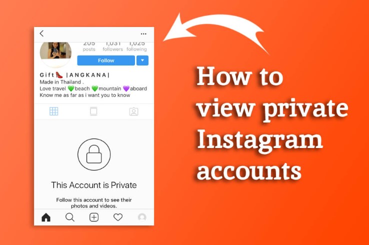 How To See Someone s Private Instagram Drake Wire