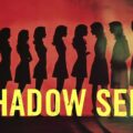 Shadow self leadership emotional agency concept
